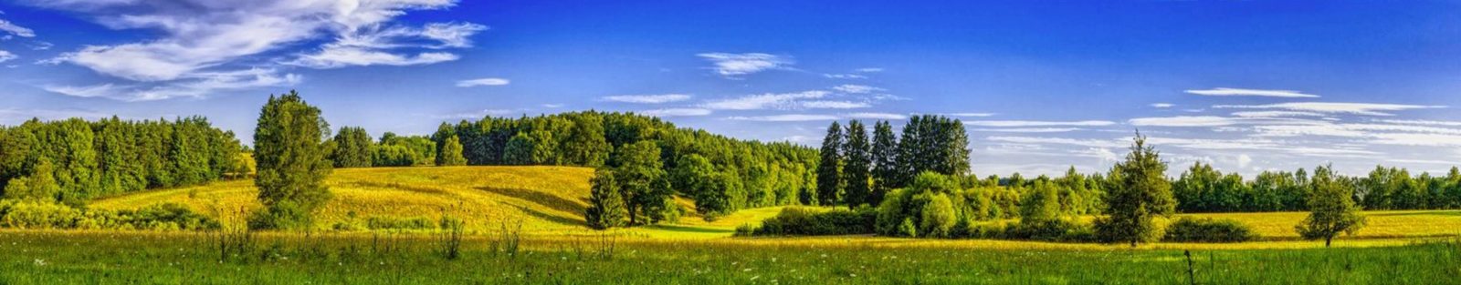 Времена года