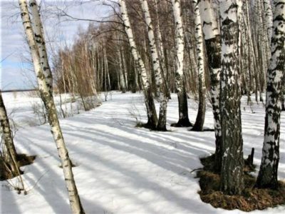 февраль